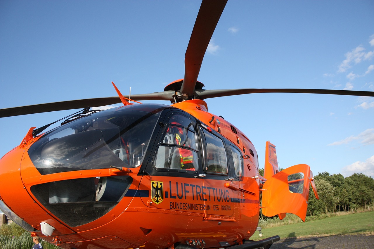 The Importance of Supporting Rescue Efforts Year-Round